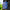 Beauty-case FIORI SU FONDO BLU