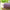 Beauty_case GOCCE COLORATE